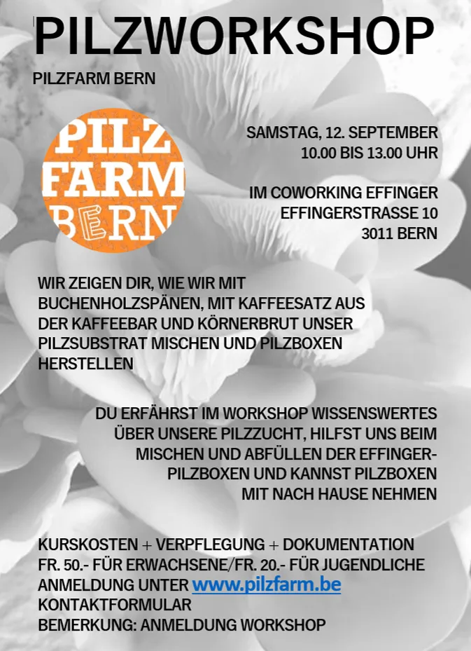 Flyer Pilzworkshop Pilzfarm Bern